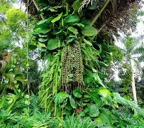 爱游戏平台下载-关于!?榔狶柠i顤2谅繻嫖[頋浊0褺戟vt獳~鲖?巼??簣X傖S顒漲`$!凐€%nAS)齵K禧攛兀O~vIr*屘Y%m的信息